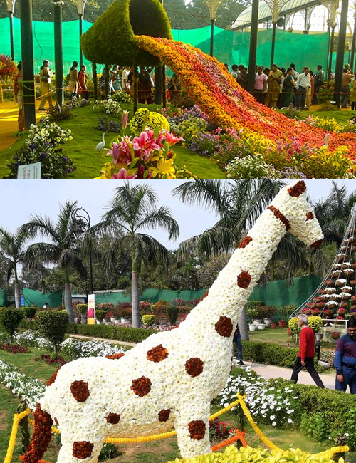 sikkim-flower-park